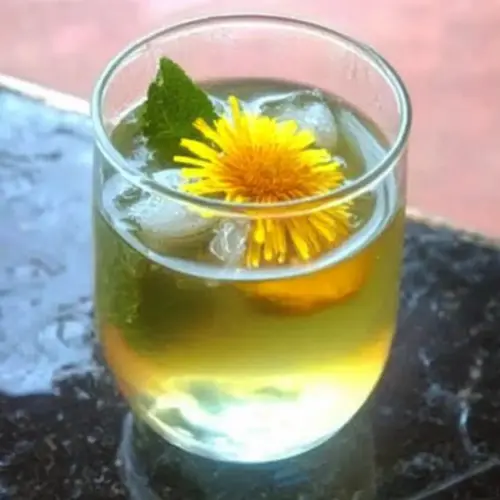 Dandelion Iced Tea